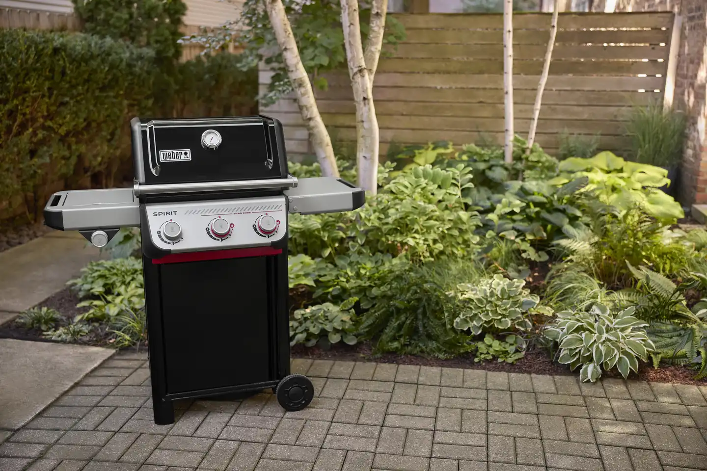 Kaasugrilli Weber Spirit E-335